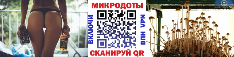 Галлюциногенные грибы Psilocybine cubensis  где можно купить   Северобайкальск 